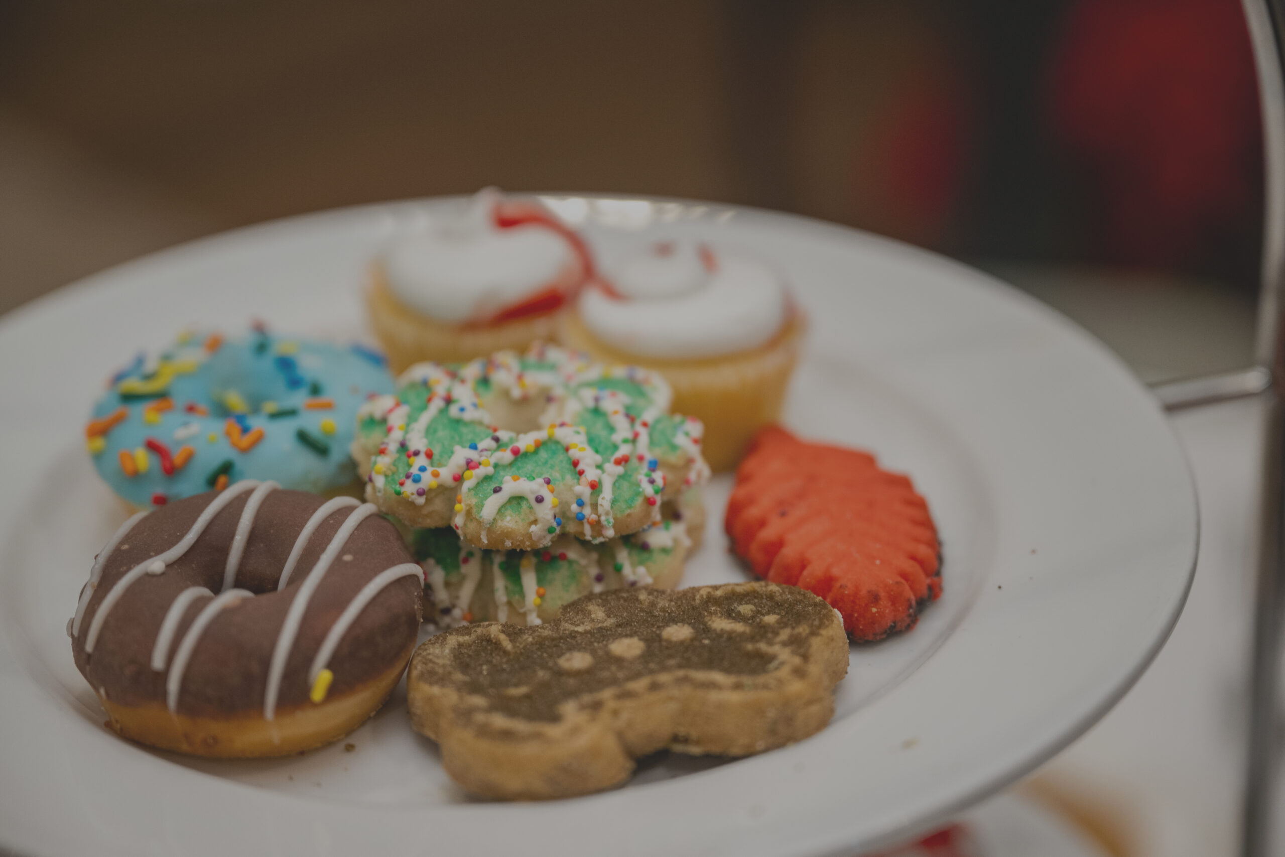 Teddy Bear Tea: A New Holiday Tradition