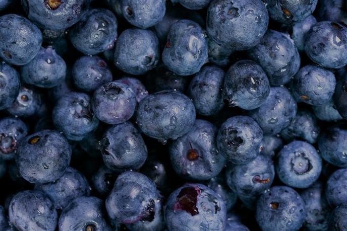 Local Berries, Lavender, and More